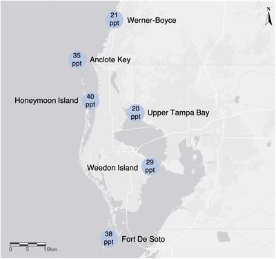 Trait Response to Nitrogen and Salinity in Rhizophora mangle Propagules and Variation by Maternal Family and Population of Origin